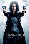 دانلود فیلم Underworld: Awakening 2012 بدون سانسور