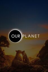 دانلود سریال Our Planet بدون سانسور