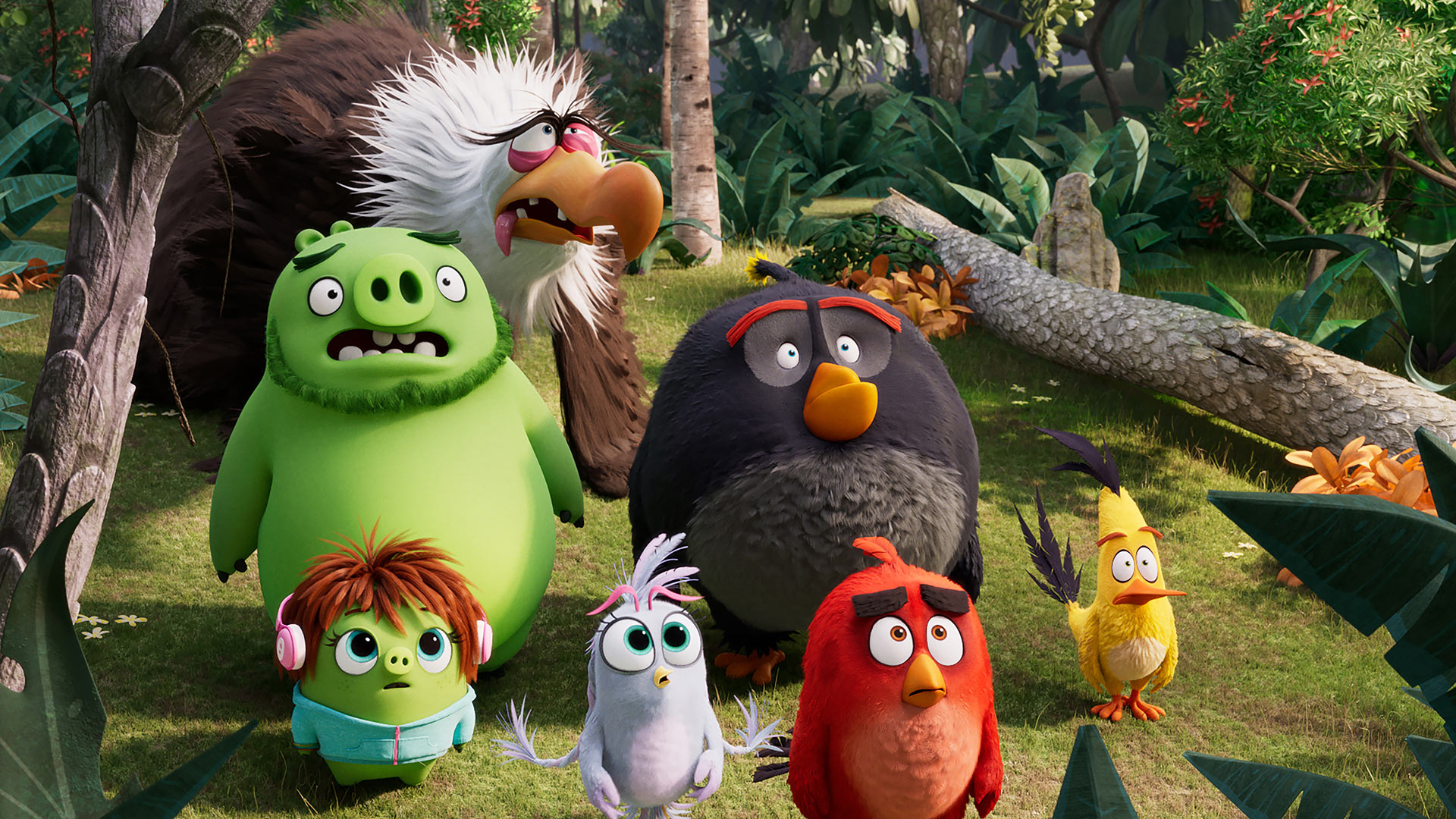 مجموعه فیلم های The Angry Birds Movie (پرندگان خشمگین) بدون سانسور