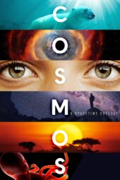 دانلود سریال Cosmos: A Spacetime Odyssey بدون سانسور