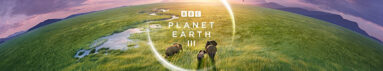 دانلود سریال Planet Earth III بدون سانسور