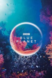 دانلود سریال The Blue Planet بدون سانسور