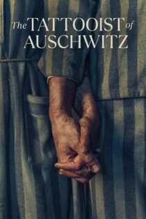 دانلود سریال The Tattooist of Auschwitz بدون سانسور